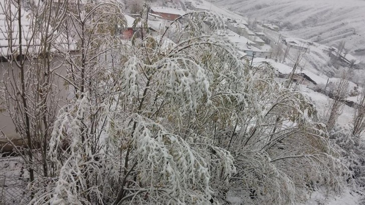 10514468_10205056898124233_4431468110283126919_n