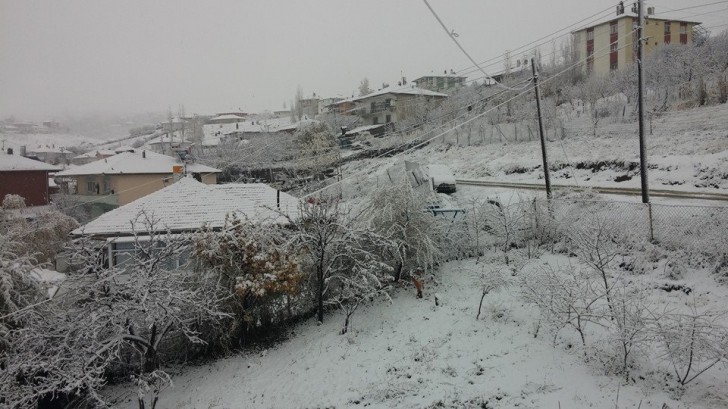 10676164_10205056897044206_2717550720485317768_n