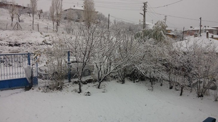 1463573_10205056897284212_983249747364563015_n